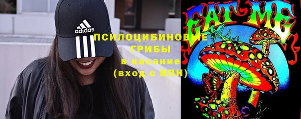 не бодяженный Надым